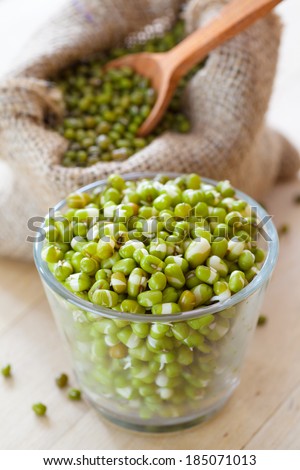green mung bean sprouts in bowl and hessian bag with seeds and spoon