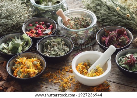 Mortar, bowls and jars of dry medicinal herbs on table. Healing herbs assortment. Alternative medicine.