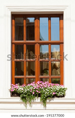 Flower box below a window on an apartment building