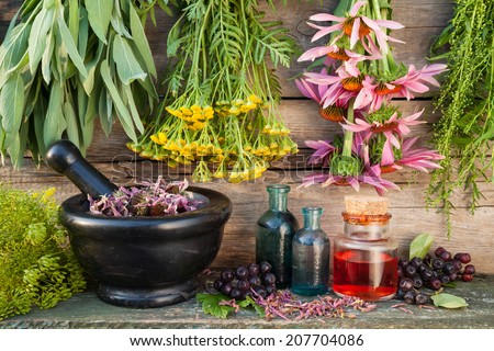 bunches of healing herbs on wall, herbal medicine