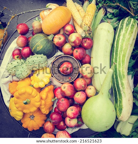 Harvested vegetables and fruits heap, autumn still life, top view