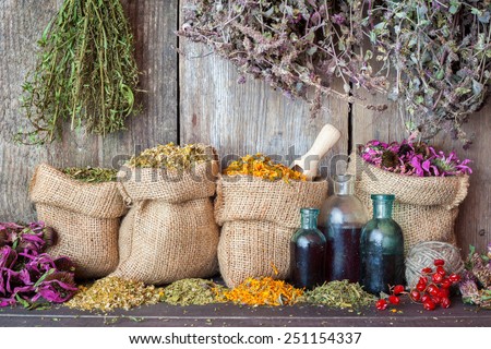 Healing herbs in hessian bags and bottles of essential oil near rustic wooden wall, herbal medicine.