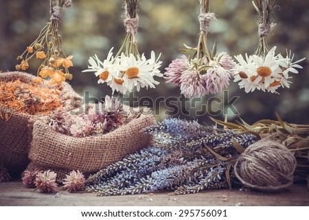 Healing herbs bunches and hessian bags with dried marigold, clover and chamomile. Herbal medicine.