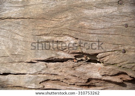 break wood texture background