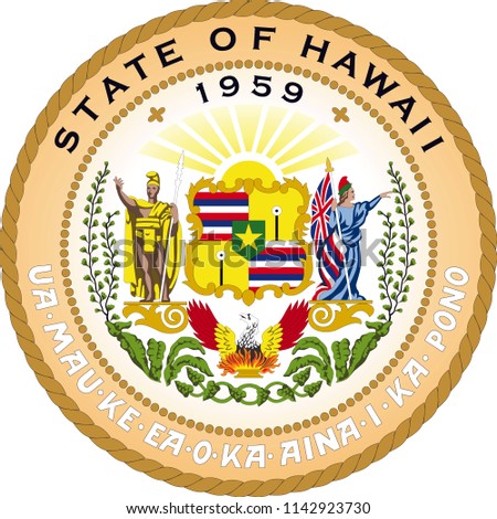 Hawaii State Flag Seal Love Heart United States America American Illustration