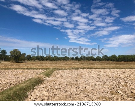 Similar – Image, Stock Photo Filed with wheat against blue sky