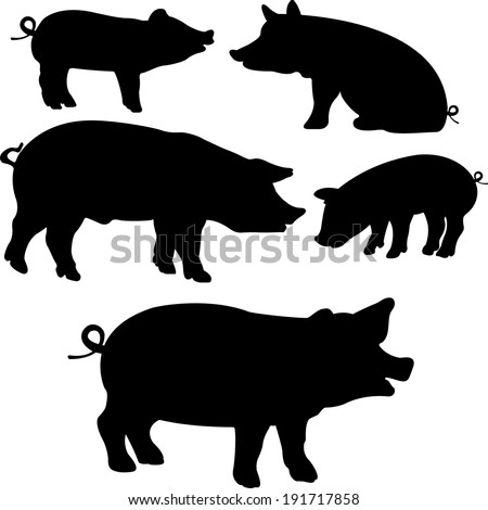 Pigs collection - vector silhouette