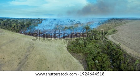Illegal fire burn forest trees in the Amazon rainforest, Brazil. Aerial view of deforestation area for pasture, livestock and agriculture soy farm. Concept of ecology, environment and climate change.