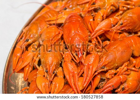 Fresh boiled crawfish photographed up close