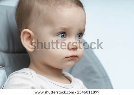 Similar – Image, Stock Photo caught by the gaze of a cat sitting in the middle of the living room