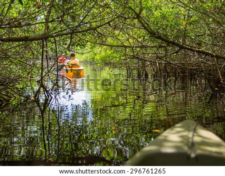 Kayaking in mangrove tunnels in Everglades National park, Florida, USA