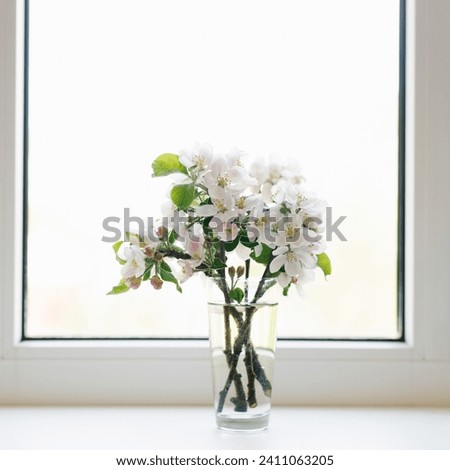 Similar – Image, Stock Photo Vases in the window Window