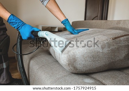 Man dry cleaner's employee hand in protective rubber glove cleaning sofa with professionally extraction method. Early spring regular cleanup. Commercial cleaning company concept