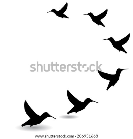Background with silhouettes of flying birds, vector illustration