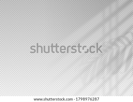 Shadow blinds. Light from window. Overlay effect. Shade jalousie transparent. Isolated background. Light on window blinds. Reflected shadow on wall. Realistic soft shade blind. Vertical mockup. Vector Foto stock © 
