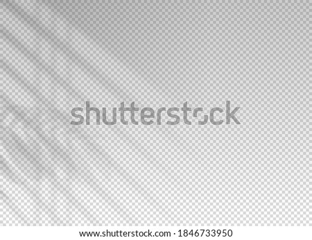 Shadow of window blinds. Shade on transparent background. Overlay effect plant leaf. Reflection shadow blinds. Light from window on wall office. Realistic soft shade blind. Horizontal mockup. Vector 