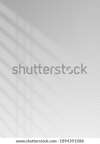 Shadow blinds. Sun light from window. Overlay effect. Shade jalousie transparent. Isolated background. Window blind. Reflection shadows on wall. Realistic soft shade. Vertical shading mockup. Vector