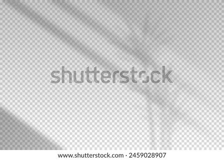 Shadow blinds. Sun light from window. Overlay effect. Shade jalousie transparent. Isolated background. Window blind. Reflected shadows on wall. Realistic soft shade. Horizontal shading mockup. Vector