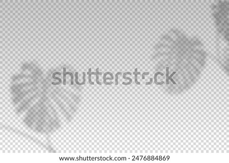 Shadow of leaf from window. Shadows palm leave isolated on transparent background. Reflected flowers for effects overlay. Plants shades. Leafes tree. Light sunshine bush for summer design. Vector