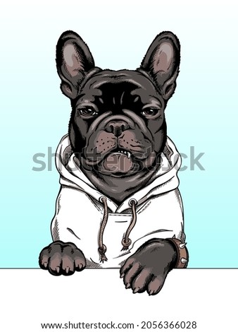  French bulldog illustration. Angry dog ​​sketch. Image for printing on any surface