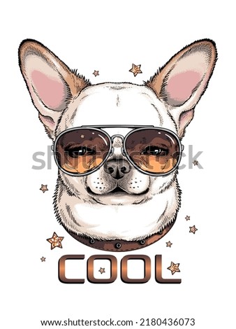 Cute chihuahua in sunglasses. Vector illustration in hand-drawn style . Image for printing on any surface