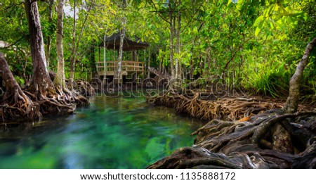 Clear Water
