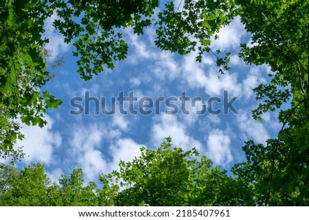 Similar – Image, Stock Photo Crown of clouds Sky Clouds