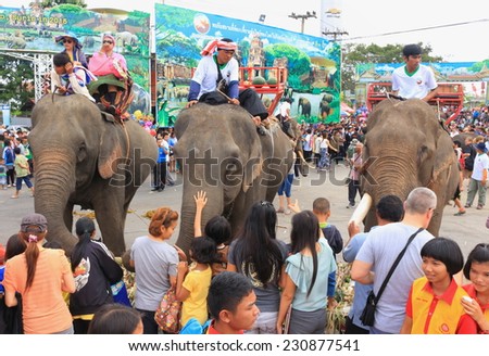 Surin-November 14,2014 ; traveler take photo and give food to elephant in the Welcome & Elephant feeding party at the area of the staue of Phraya Surin Phakdi, Surin, Thailand