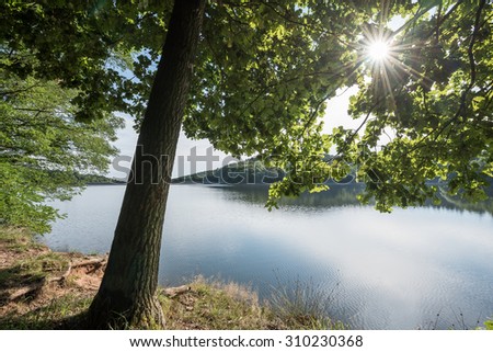 lake view with tree in the sun