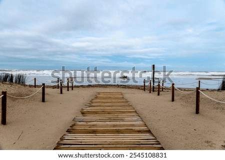 Similar – Image, Stock Photo Wet plant on sandy seashore