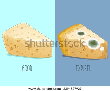 Similar – Foto Bild Ein Stück schimmeliger Parmesan Käse auf einem blauen Hintergrund