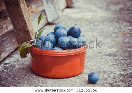Plums. Art photo, rustic style.