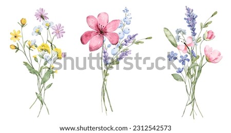 Similar – Image, Stock Photo Butterfly on a branch