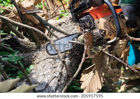 The saw use chain saw cutting the wood