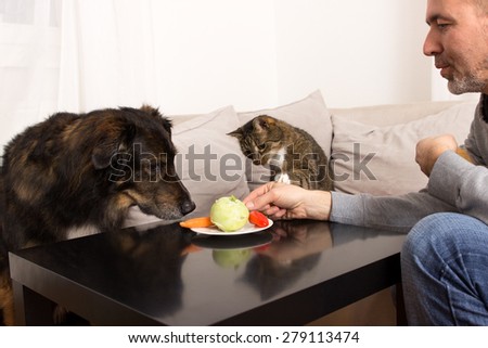 A dog and a cat sniffing curiously at plate with vegetables