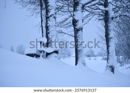 Similar – Image, Stock Photo Plain wooden bench in front of a wooden wall, with a window barricaded with square timbers.