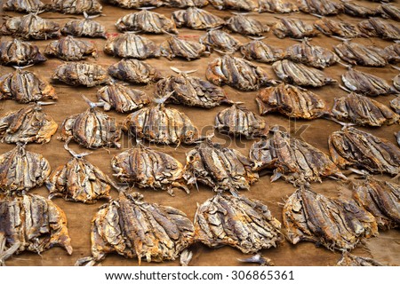 Exotic fish marketplace with bunches of fish in Asia
