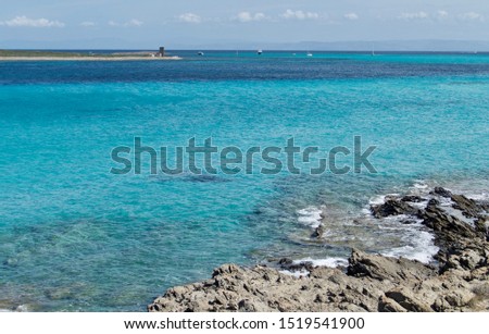 Shutterstock Puzzlepix