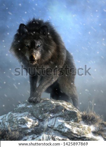 A large shaggy dire wolf bares its wicked teeth as it glares at you with deep blue eyes. The ice age predator growls and steps over snow covered rocks as it advances. 3D Rendering Photo stock © 