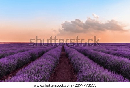 Similar – Image, Stock Photo nice evening in countryside