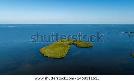 Image, Stock Photo The small island surrounded by giants in the Ranco lake