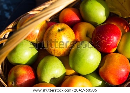 Similar – Image, Stock Photo Close up of different light decoration souvenirs sold in Chatuchak Market in Bangkok Thailand