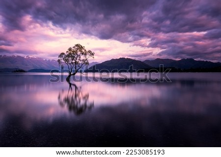 Image, Stock Photo When dawn breaks, a light comes on