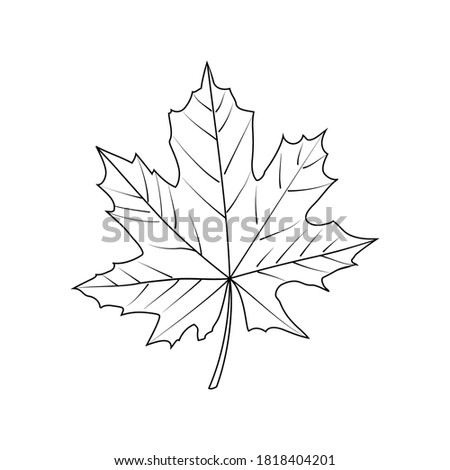 Canadian Leaf Drawing | Free download on ClipArtMag