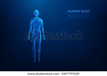human body science low poly wireframe technology on blue background. anatomy line and dot shape. medical science concept. vector illustration fantastic design.