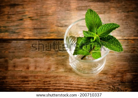 mint on a dark wood background. toning. selective focus to the middle leaves of mint.