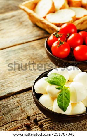 mozzarella cheese on a dark wood background. tinting. selective focus
