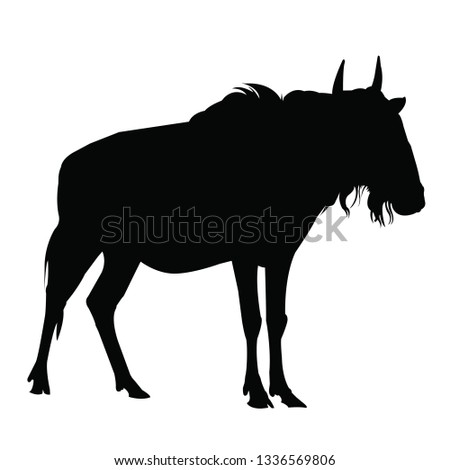 Wildebeest, vector,black and white isolated on the white background