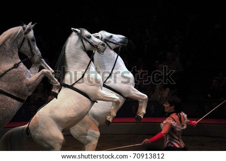 NEW YORK, NEW YORK - NOVEMBER 15: Horses perform with trainer  during Big Apple Circus show.  Taken November 15, 2007 in New York City.