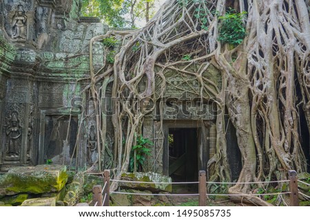 Similar – Foto Bild Baum in Ta Phrom, Angkor Wat, Kambodscha.